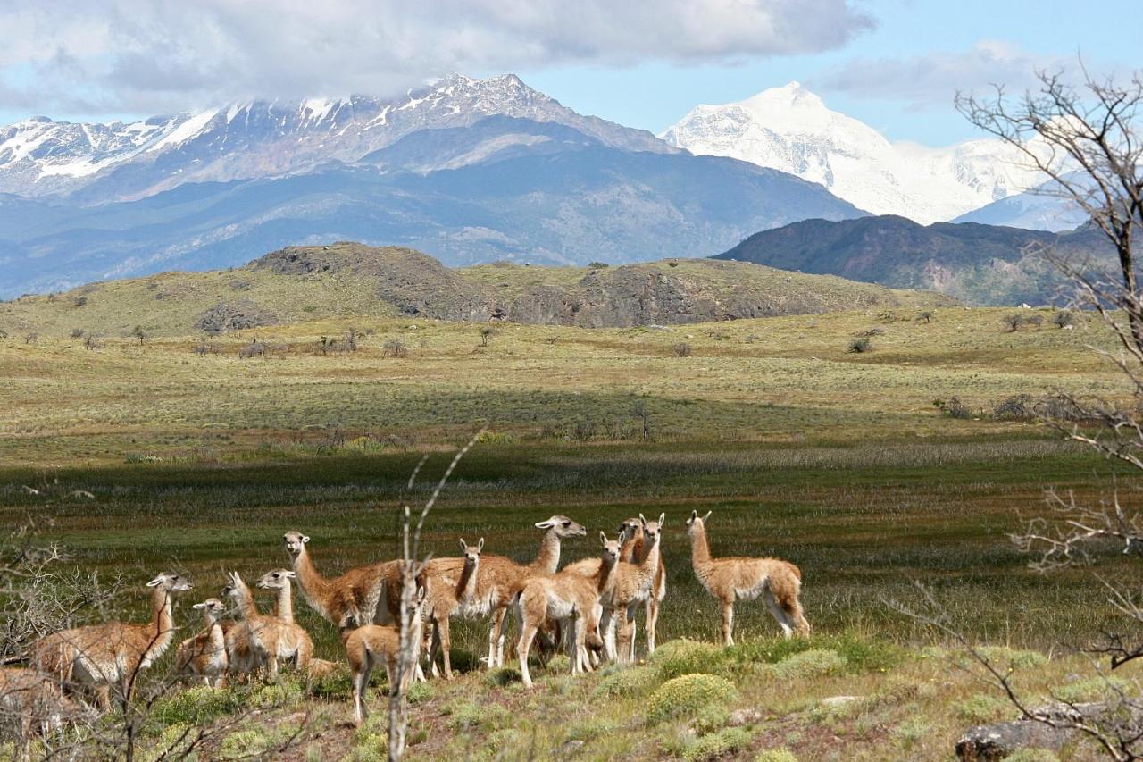 Lodge El Mirador De Guadal プエルト・グアダル エクステリア 写真