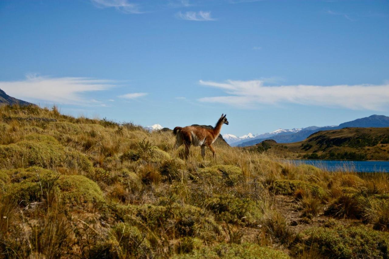 Lodge El Mirador De Guadal プエルト・グアダル エクステリア 写真